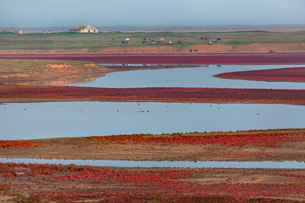 Осенние краски солеро́са