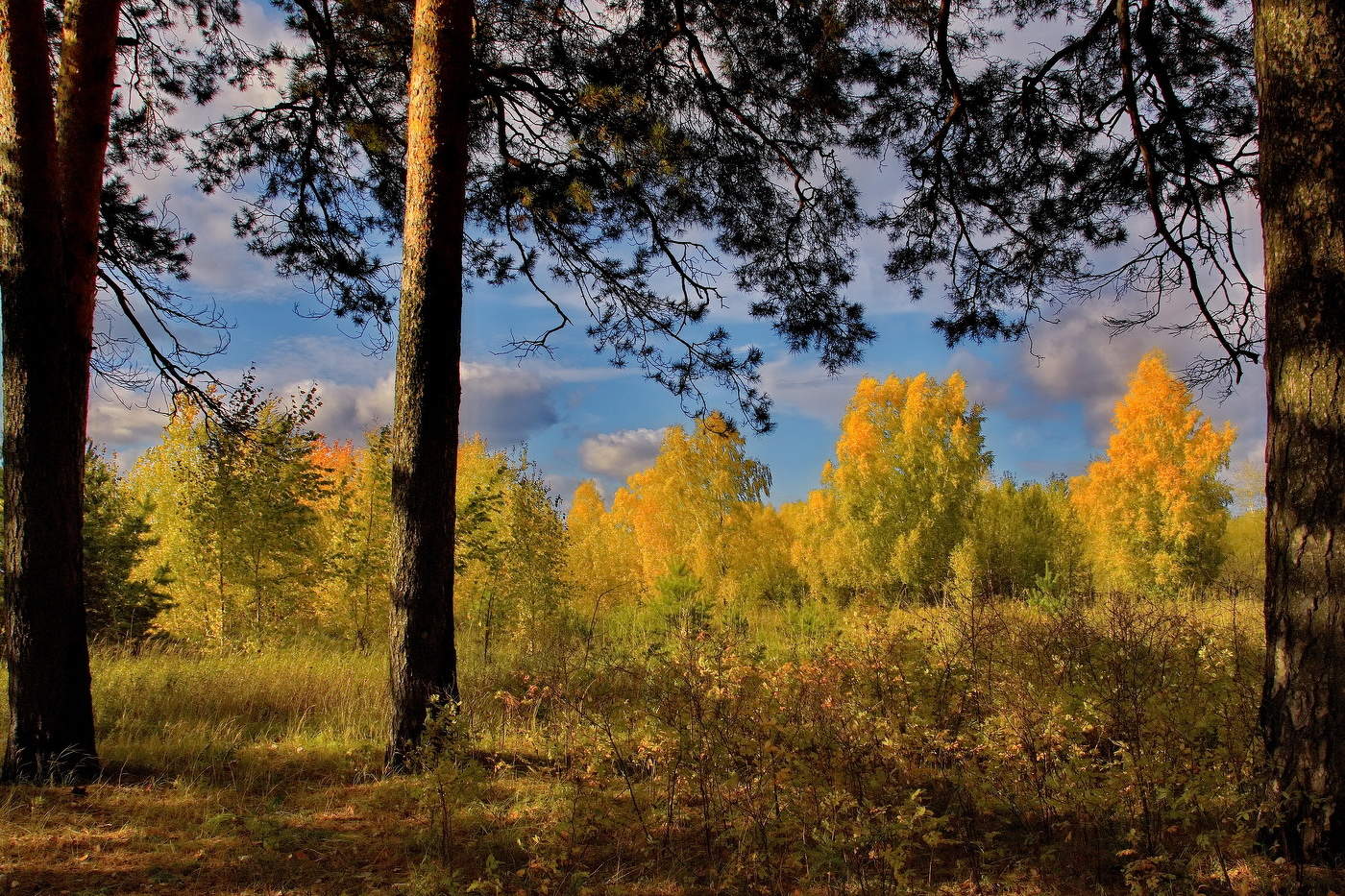 *Сентябрьским днём.**