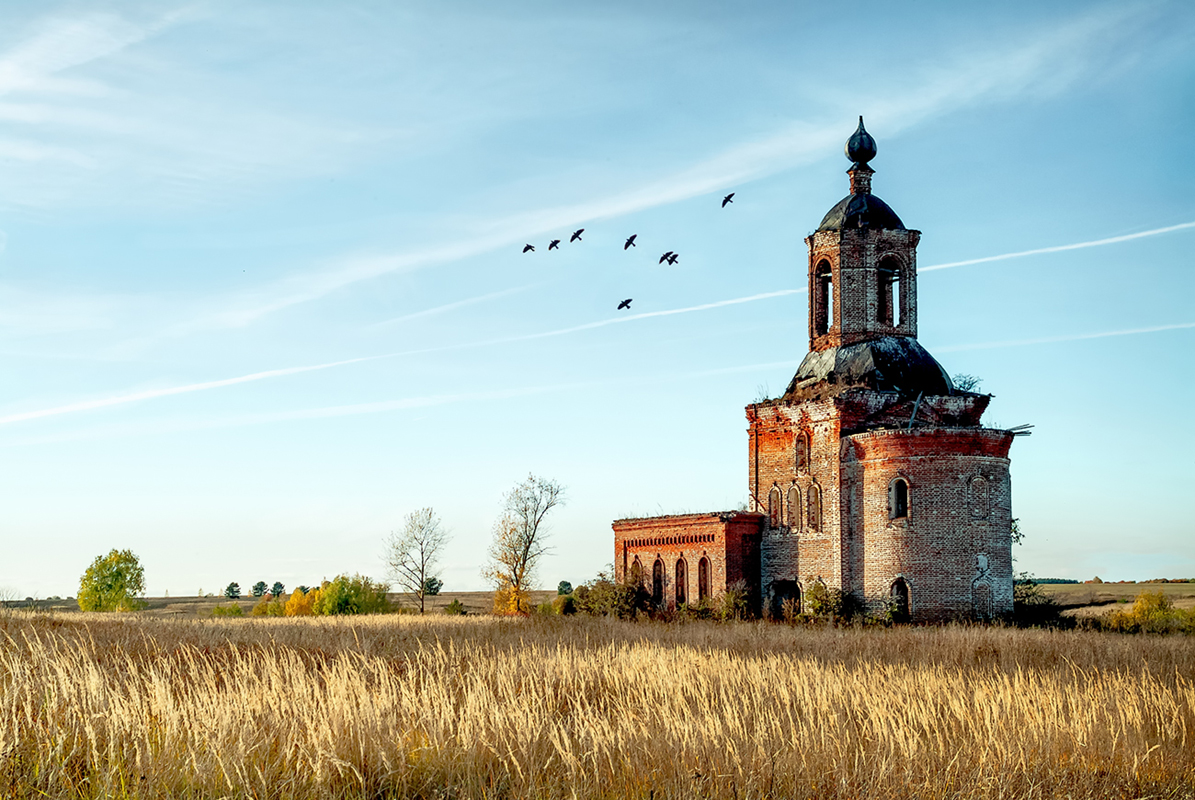 Я один, и чему- то рад....