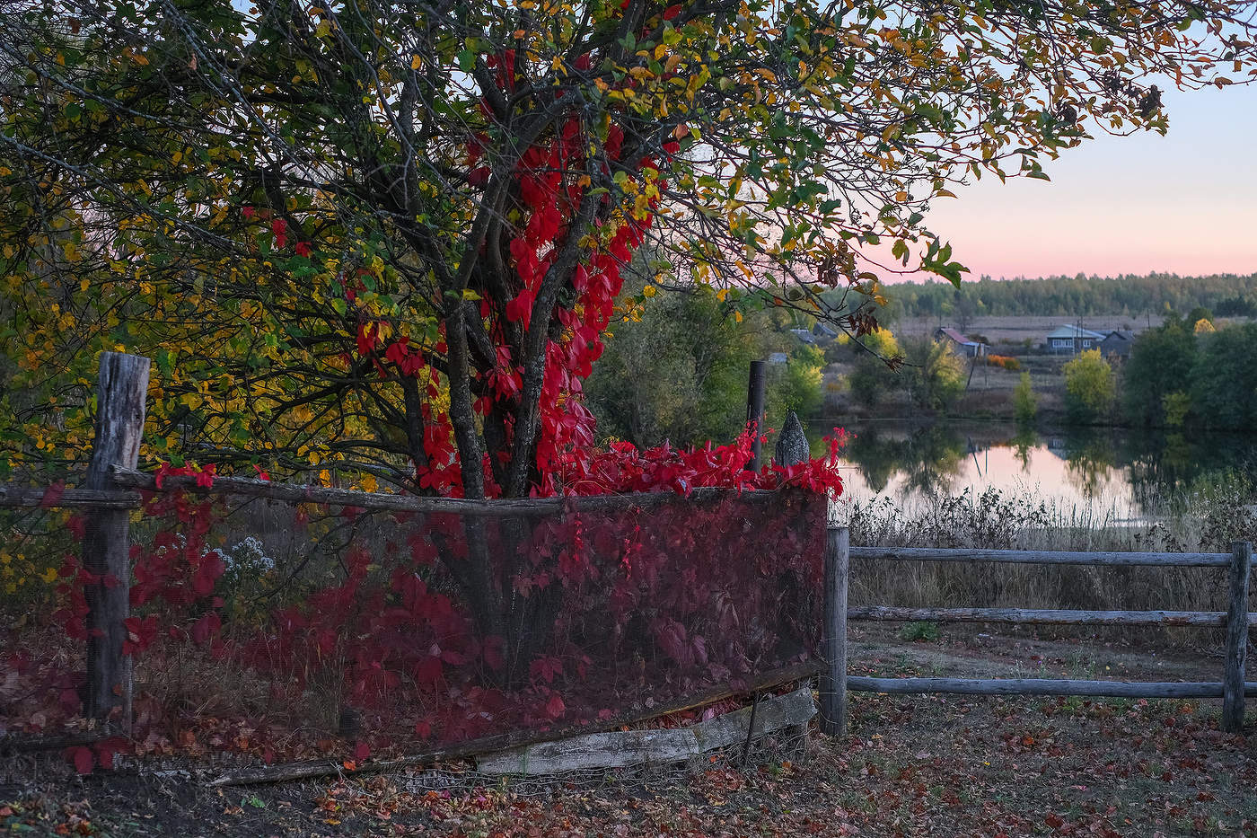 Сельский вечер...