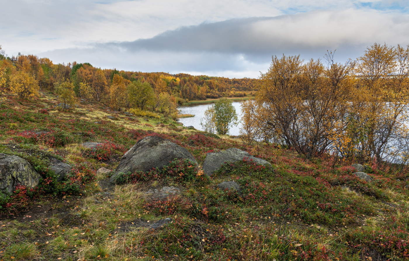 многокрасочность