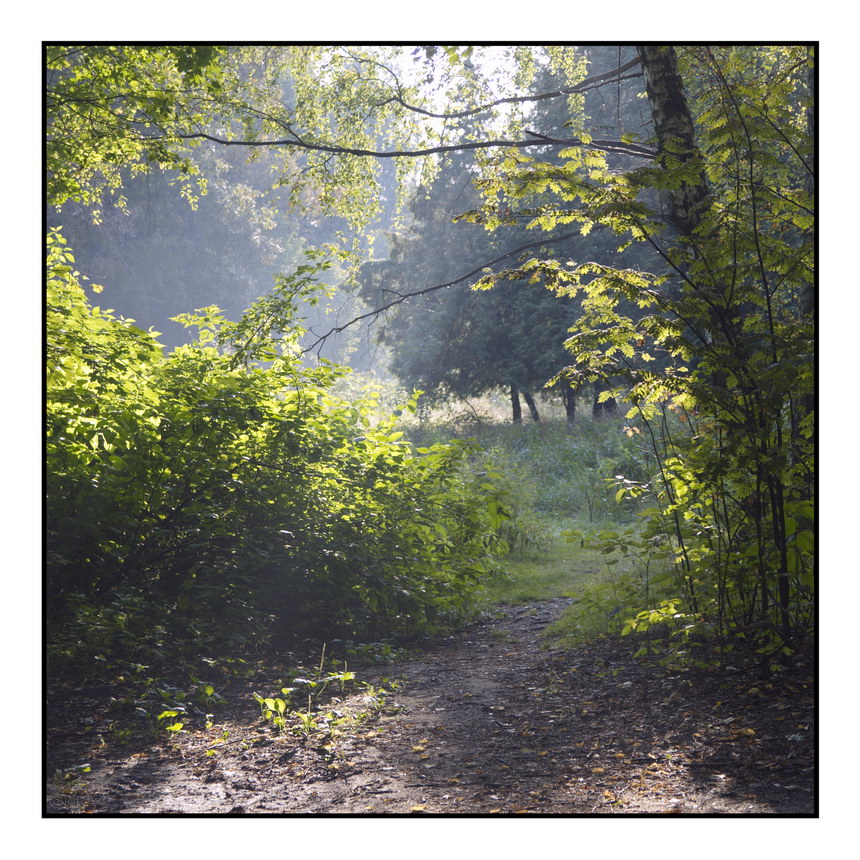 Сентябрьский зеленит. Утро.