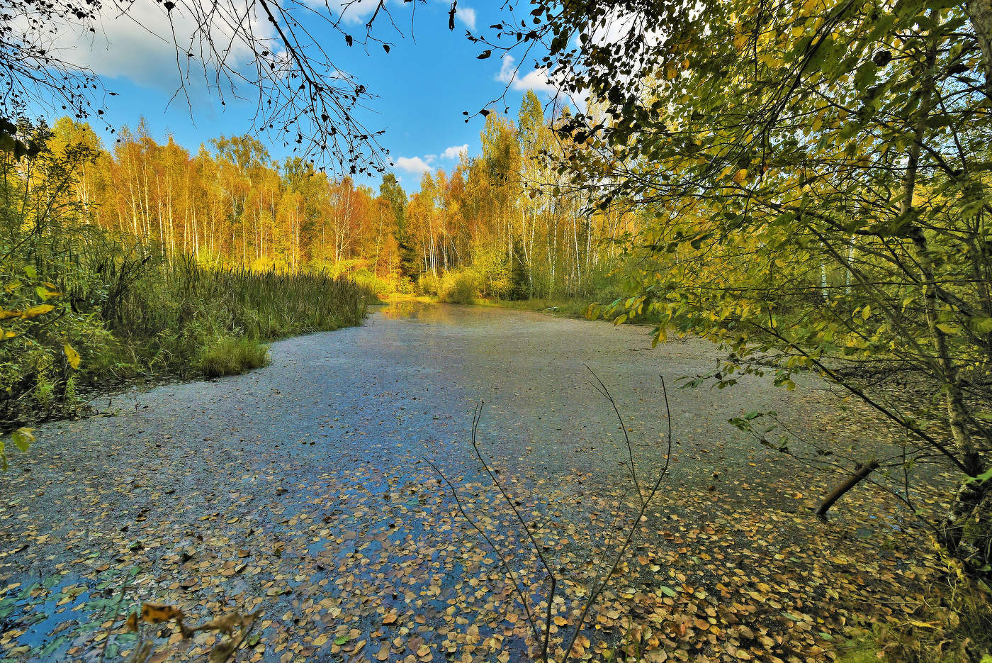 Прощай сентябрь ...