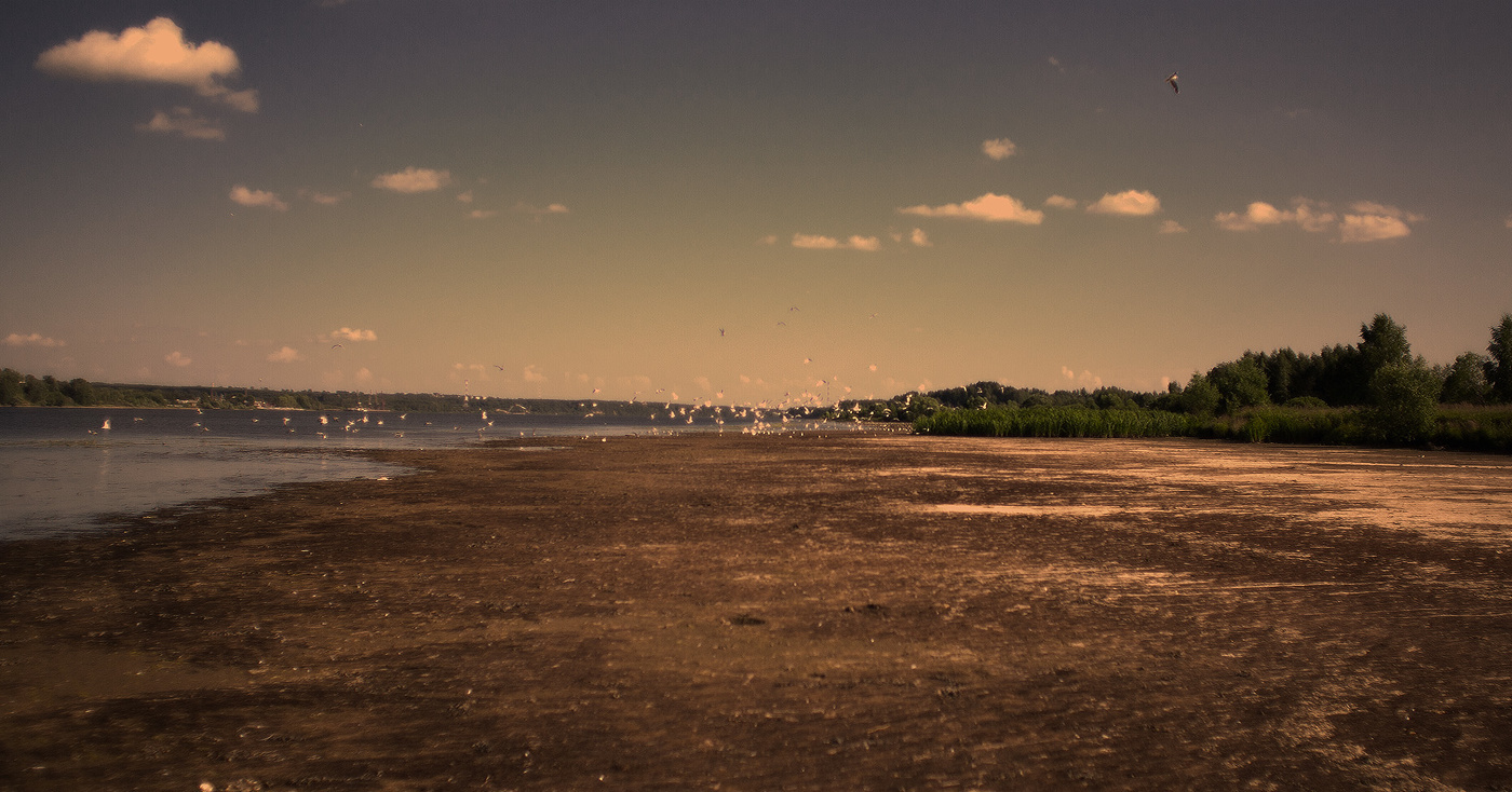 В реке Волге вода упала 2014
