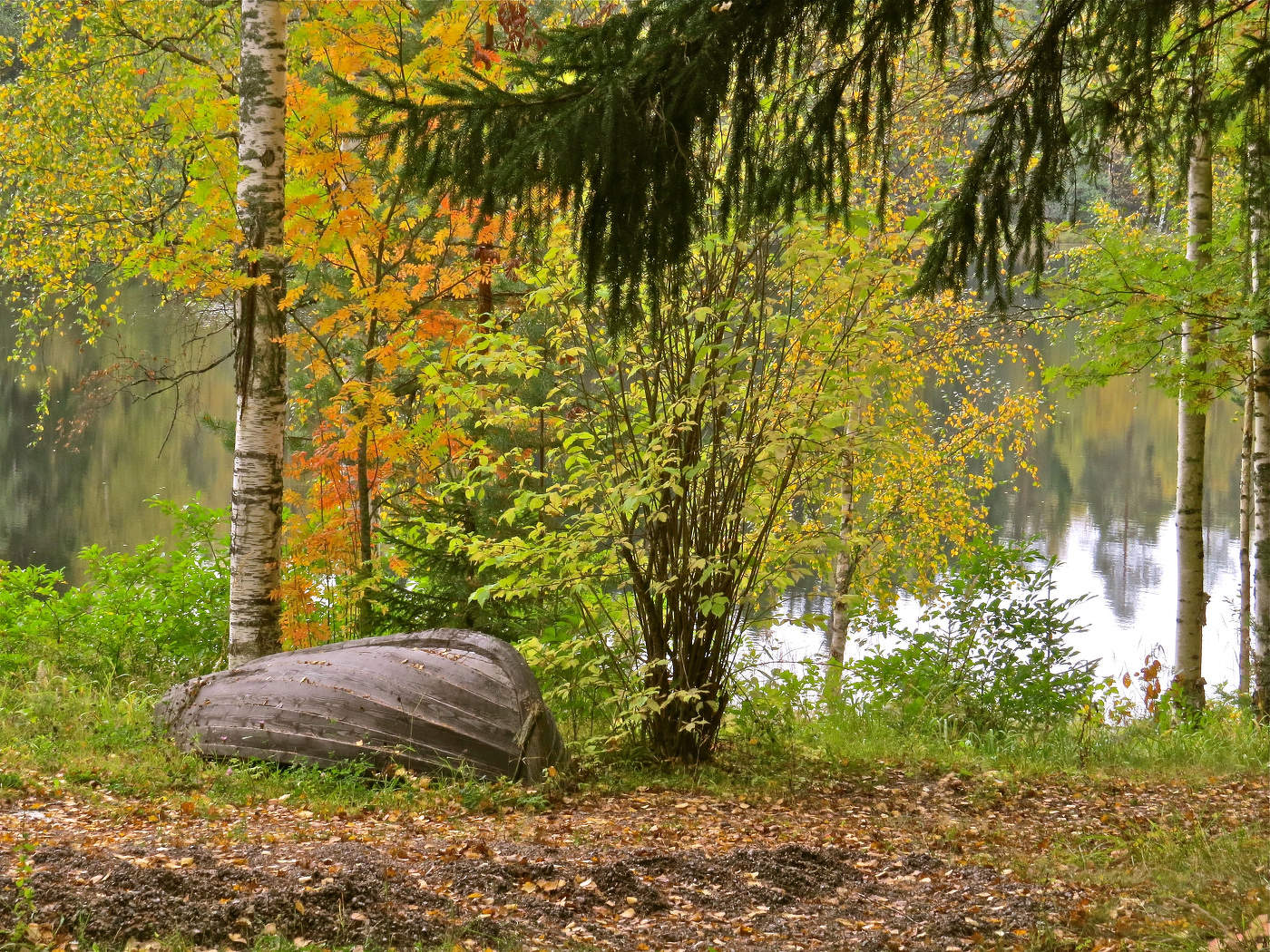 Тихо вокруг. Осень.