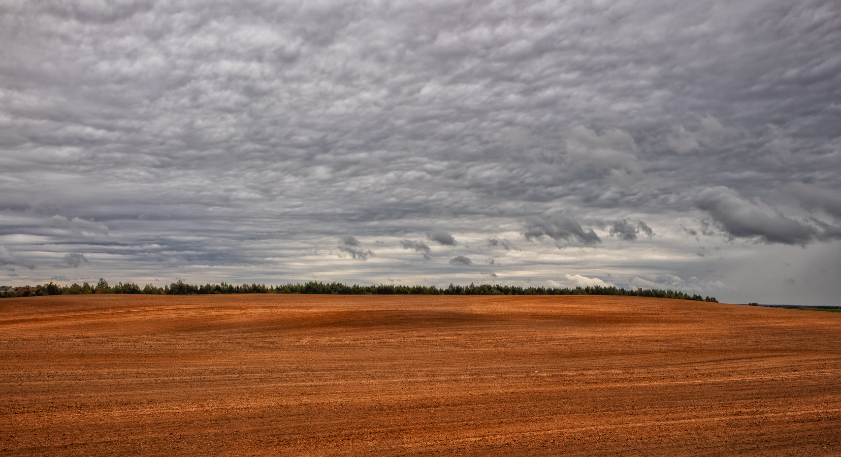 Про рыжее поле и небо