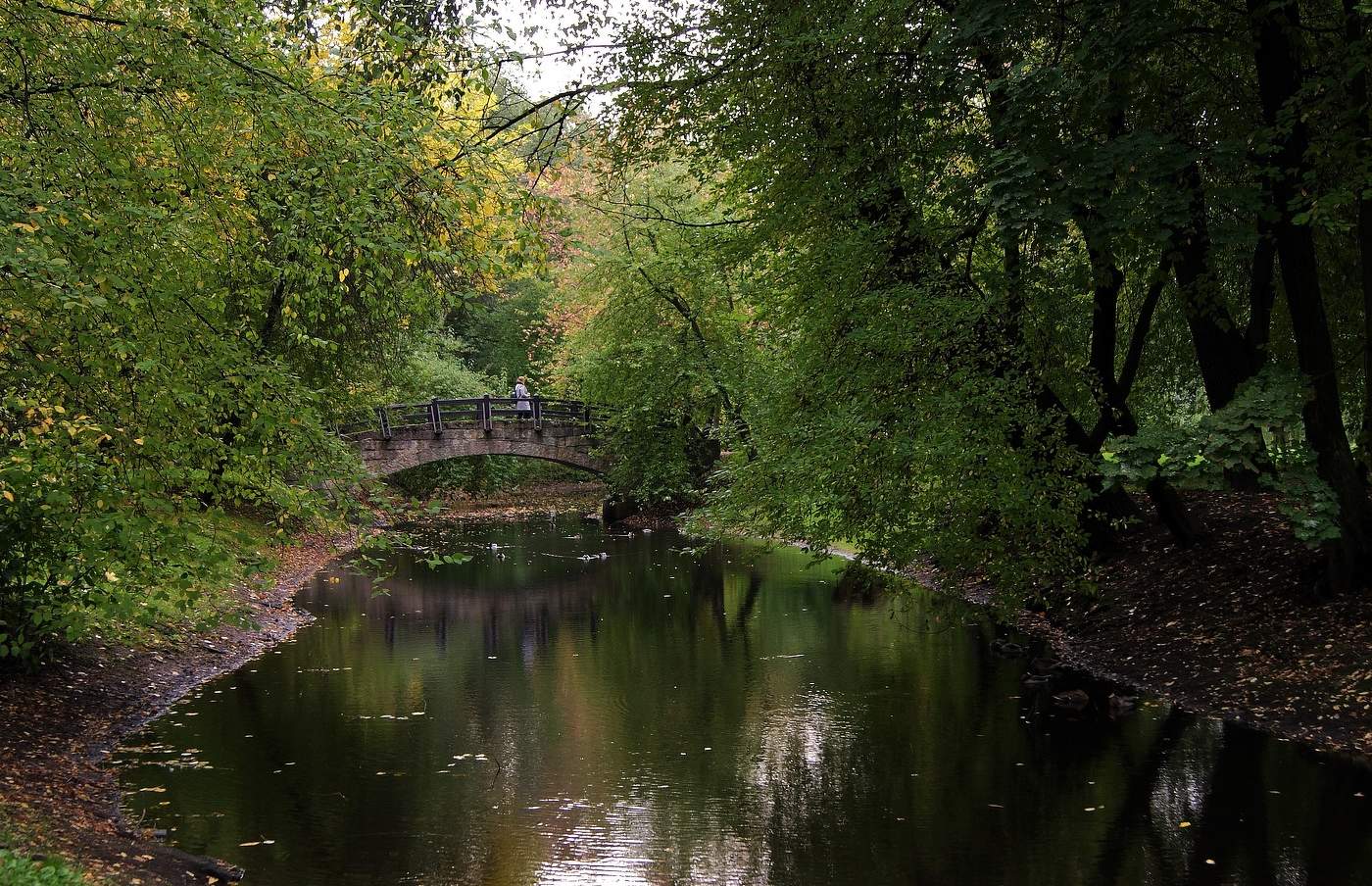 по тропинкам парка