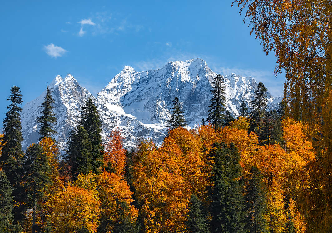 Домбайская осень