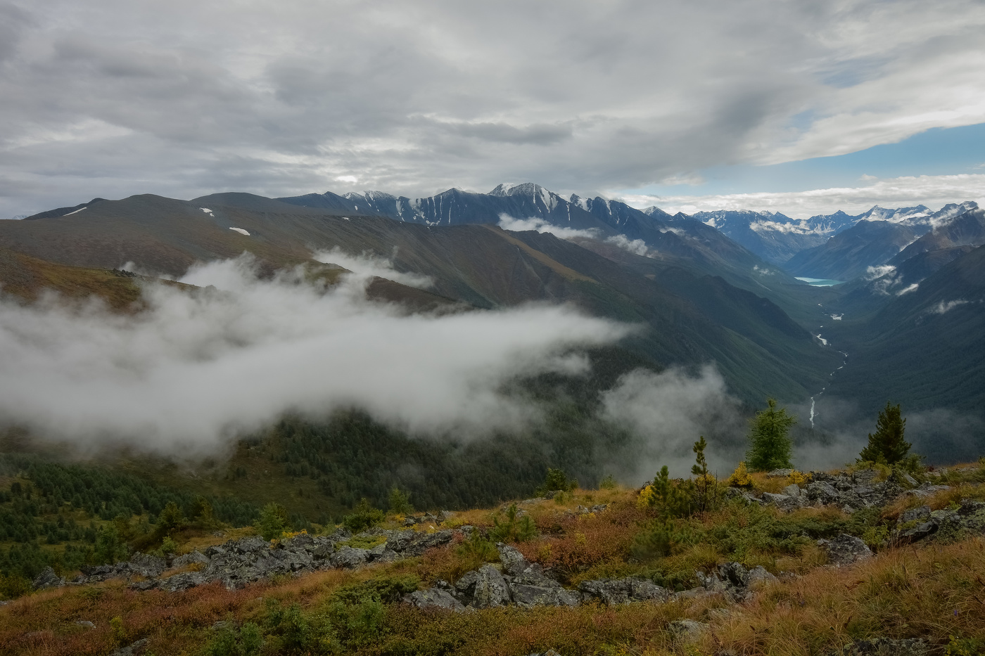 После дождя на Алтае