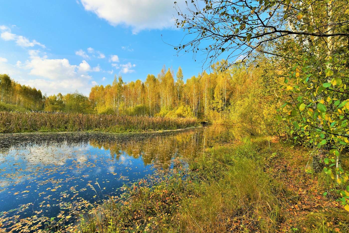 "Не верится еще, что миновало лето ..."