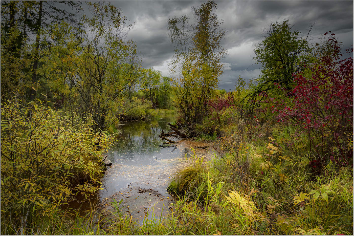 Классика осени