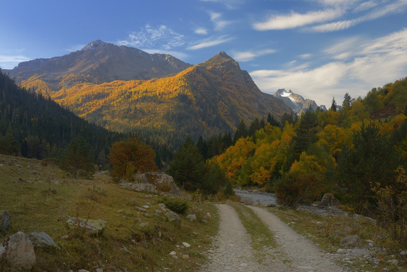 Осеннее утро