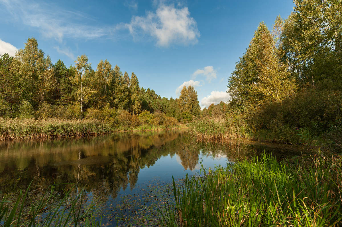 лесное озеро...