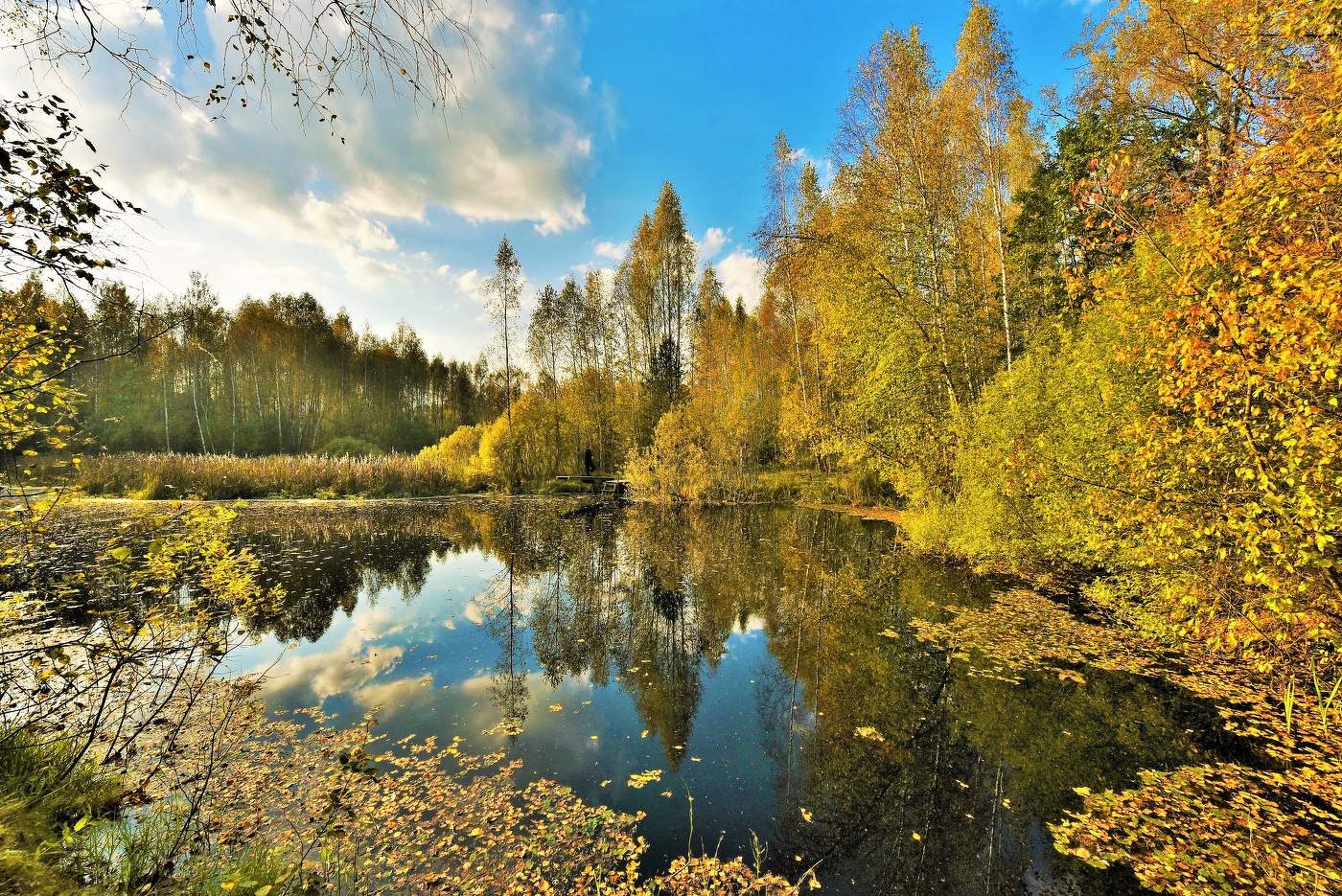 "Снова осень, и сердце щемит ..."