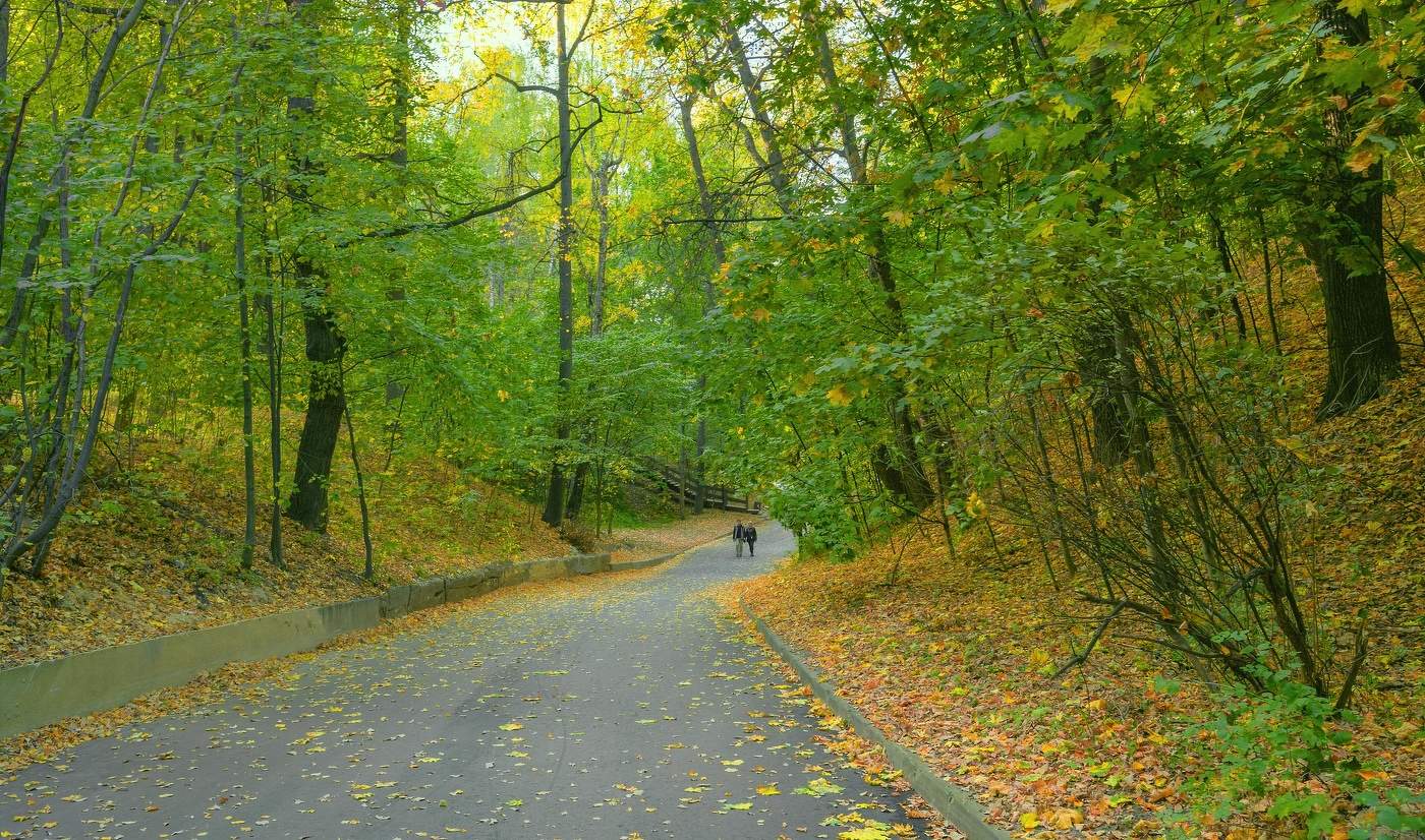Листья падают, сентябрь