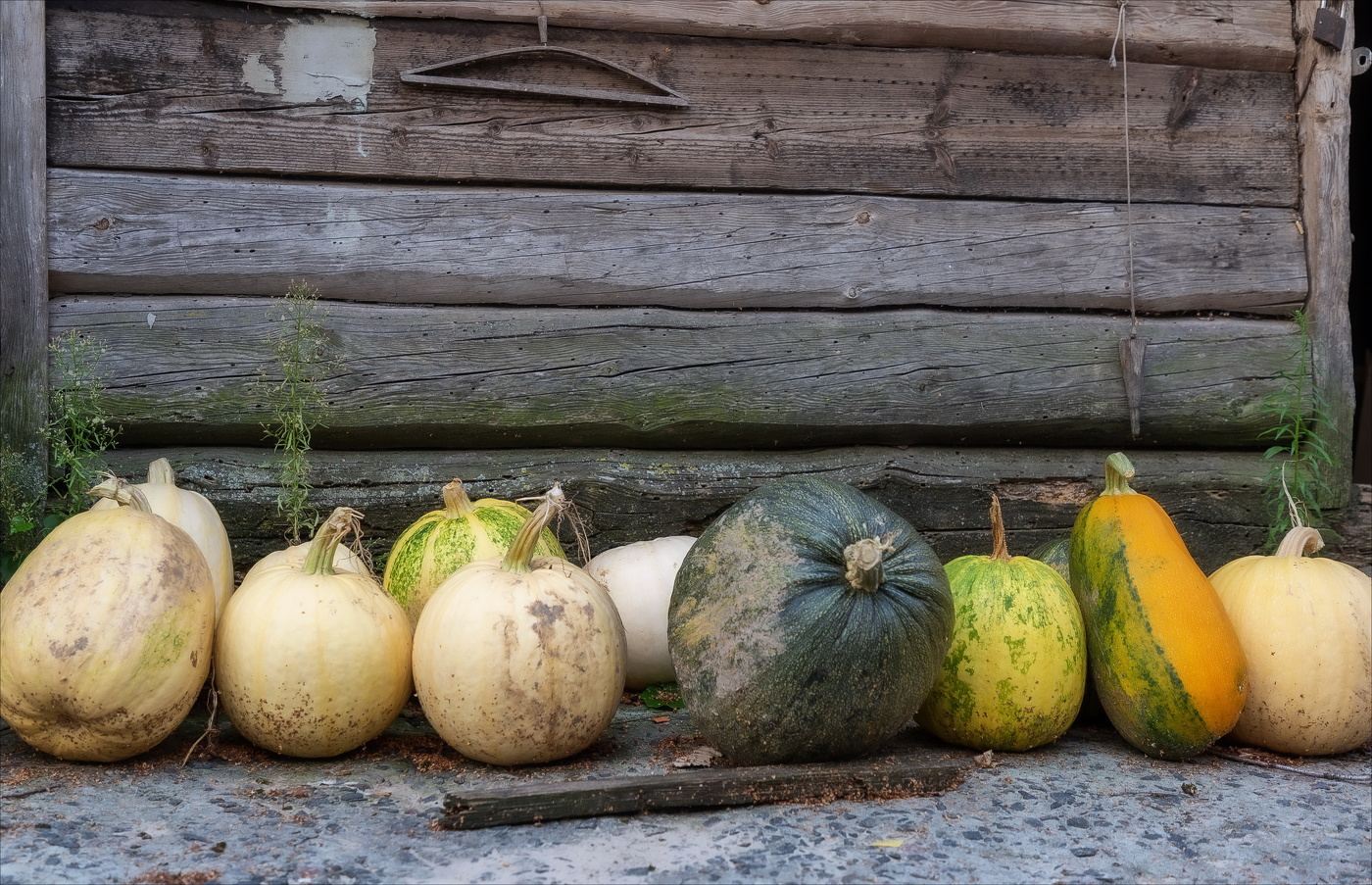 ОСЕННИЙ БАЛ