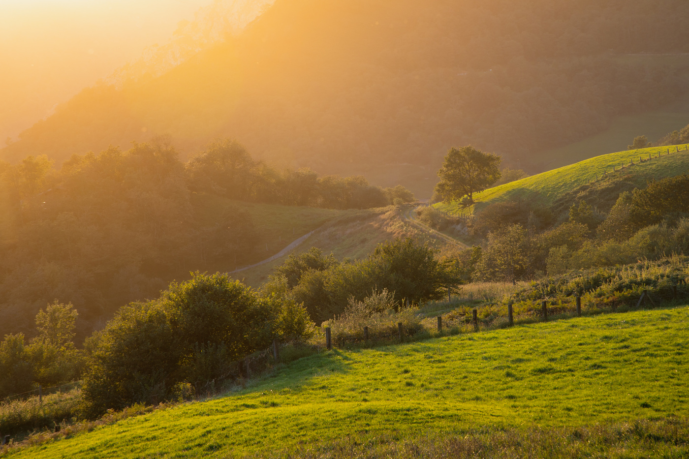 Солнечный вечер