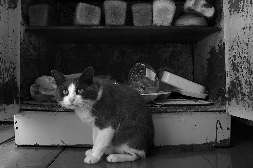 Хранитель хлеба