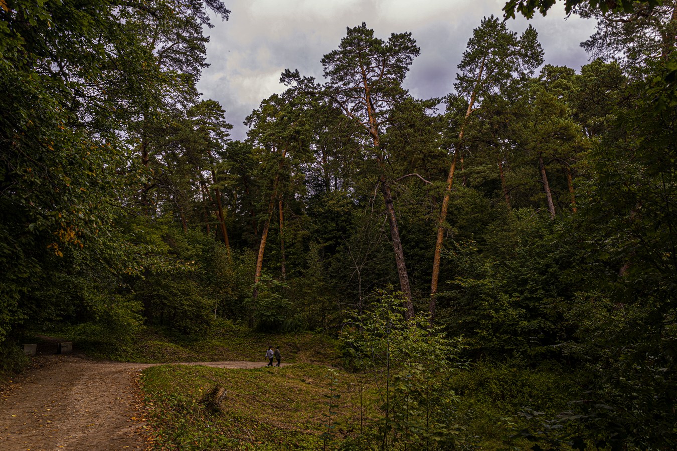 Куда ведет дорога..?