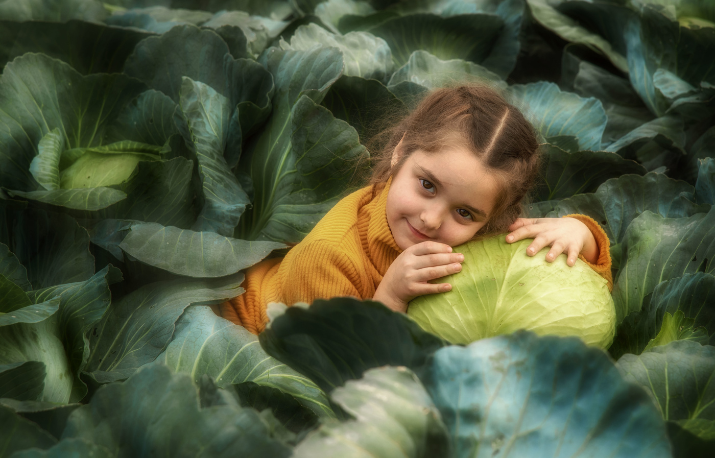 Капустница