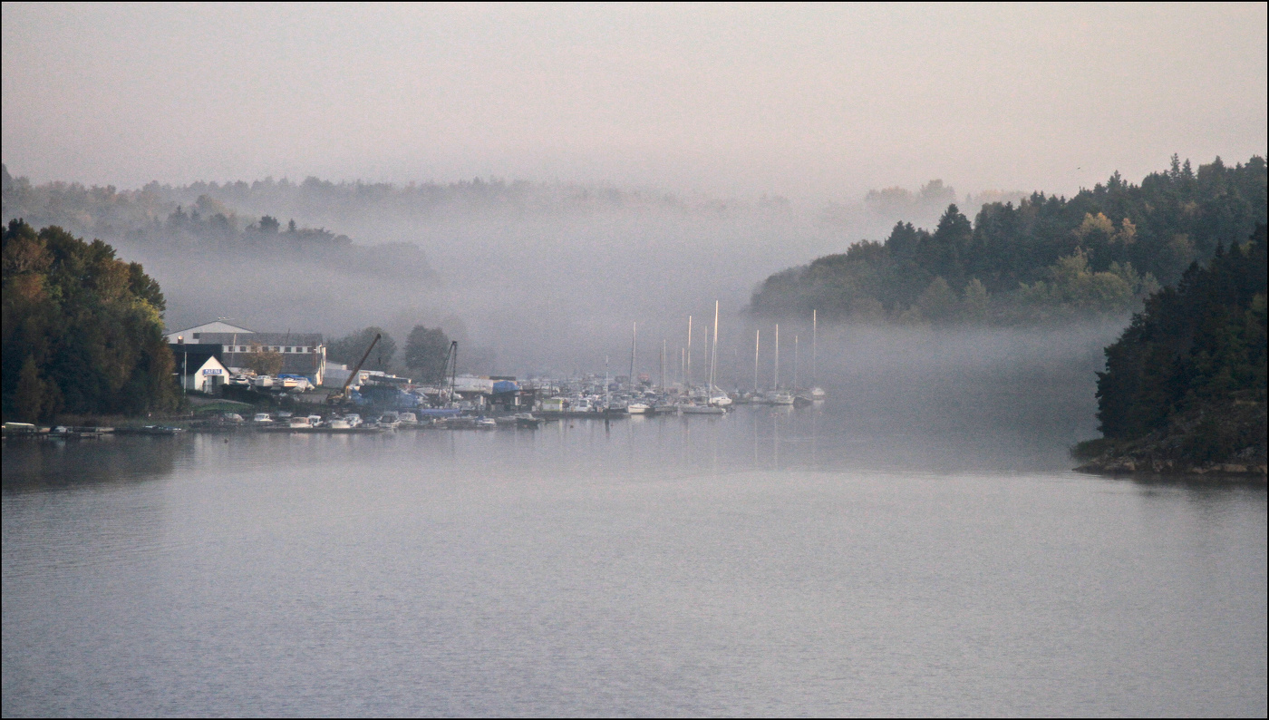 Туман октября