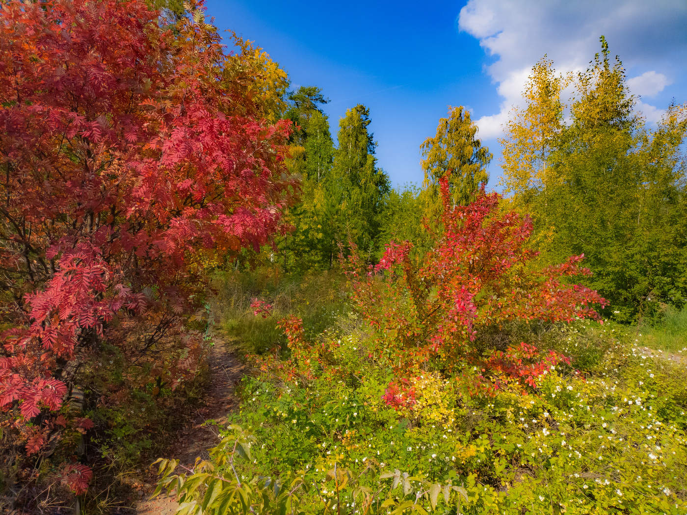 Осенняя пора