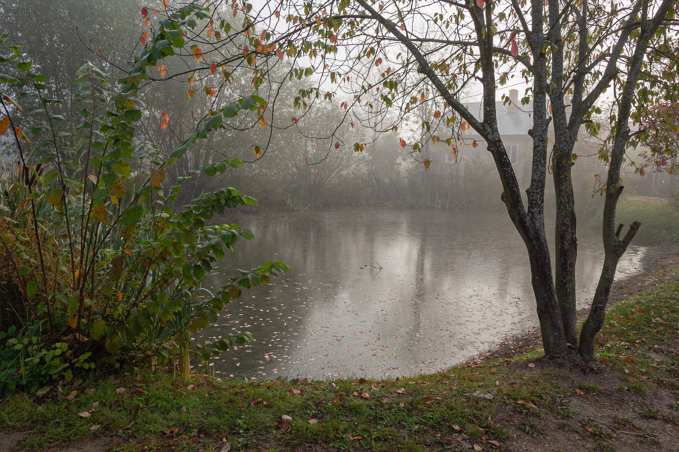 Туман с утра