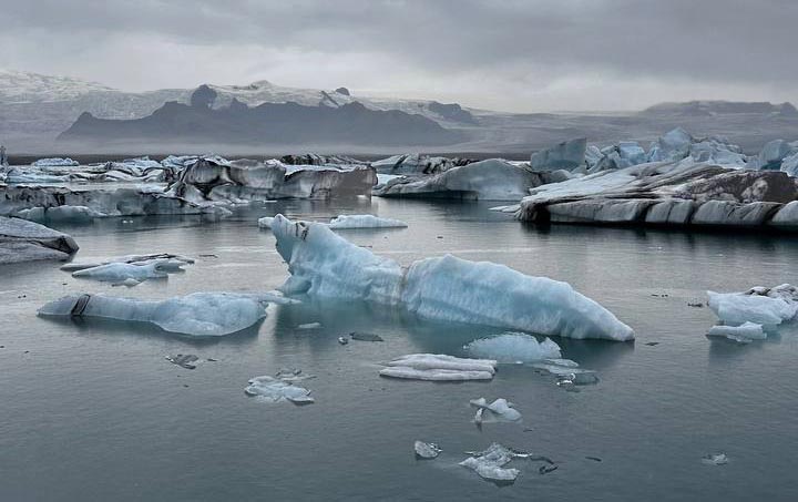 Ледяное лежбище