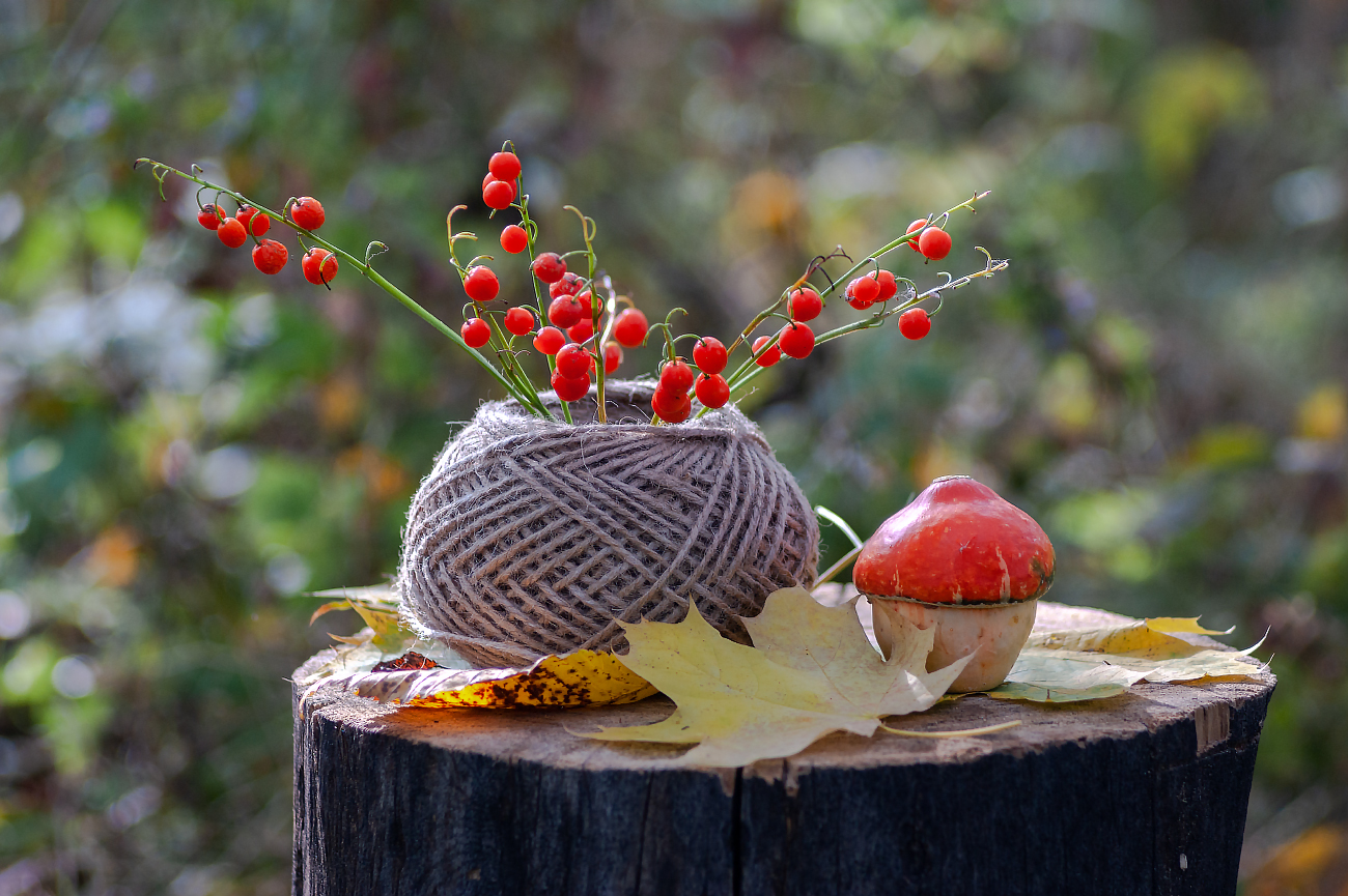 Грибы да ягоды