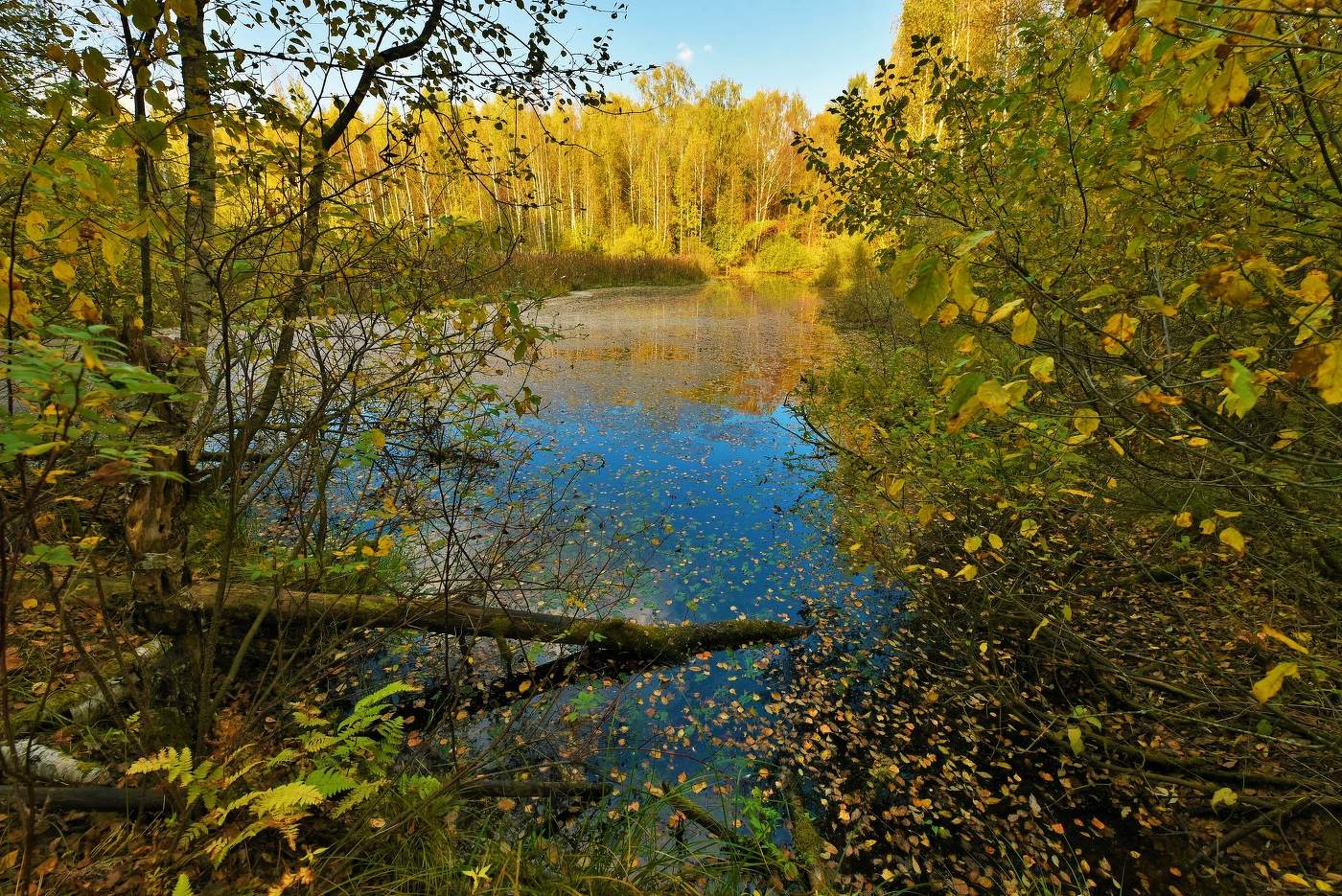 "Вдали от скучных зданий и суетливых перемен..."