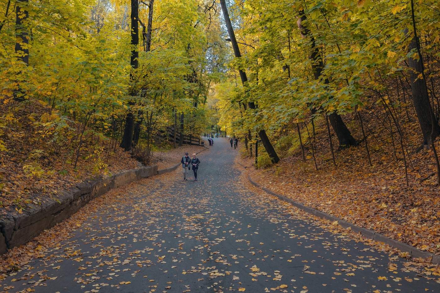 На Воробьиных горах