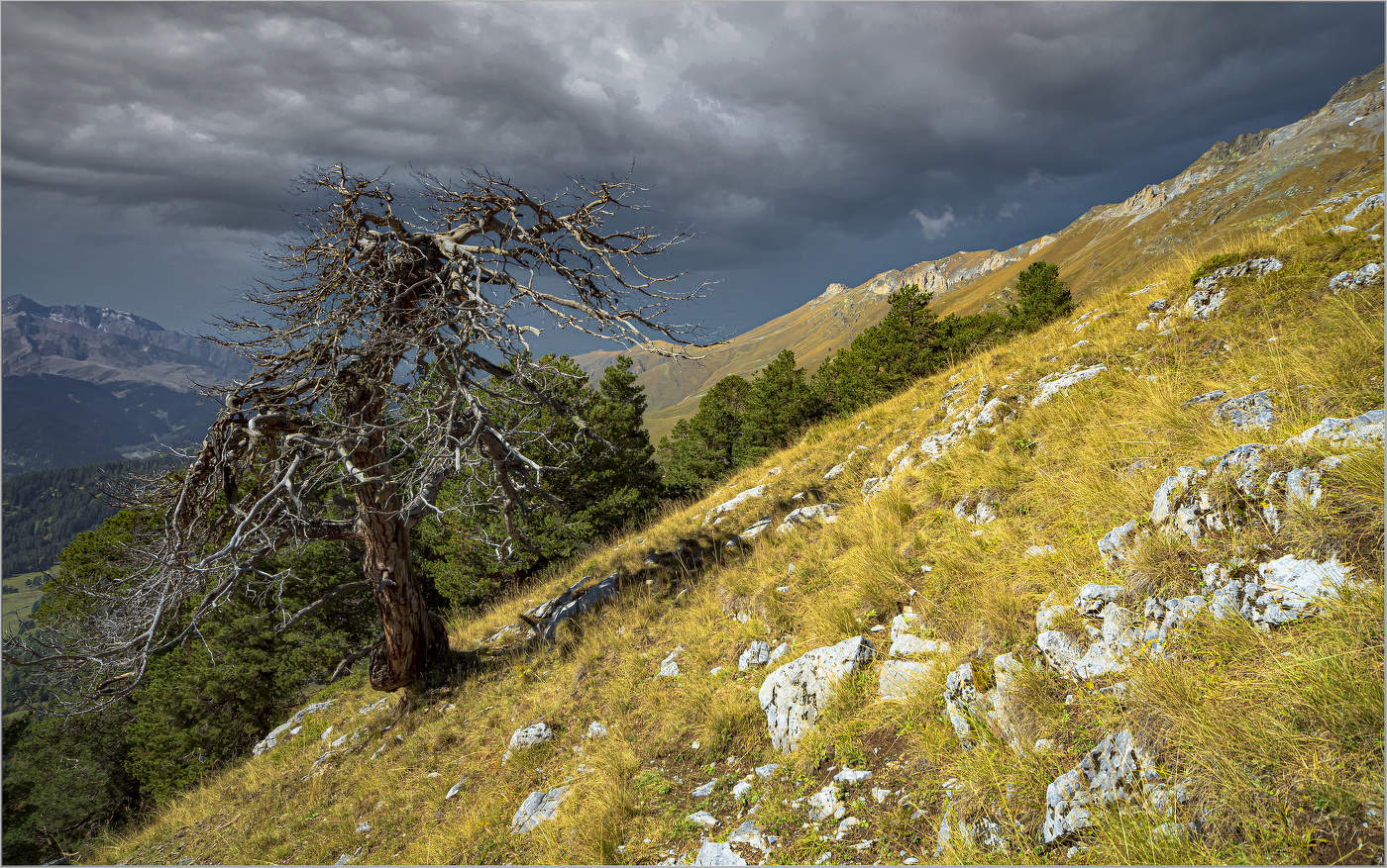 На выссоте 2300 м