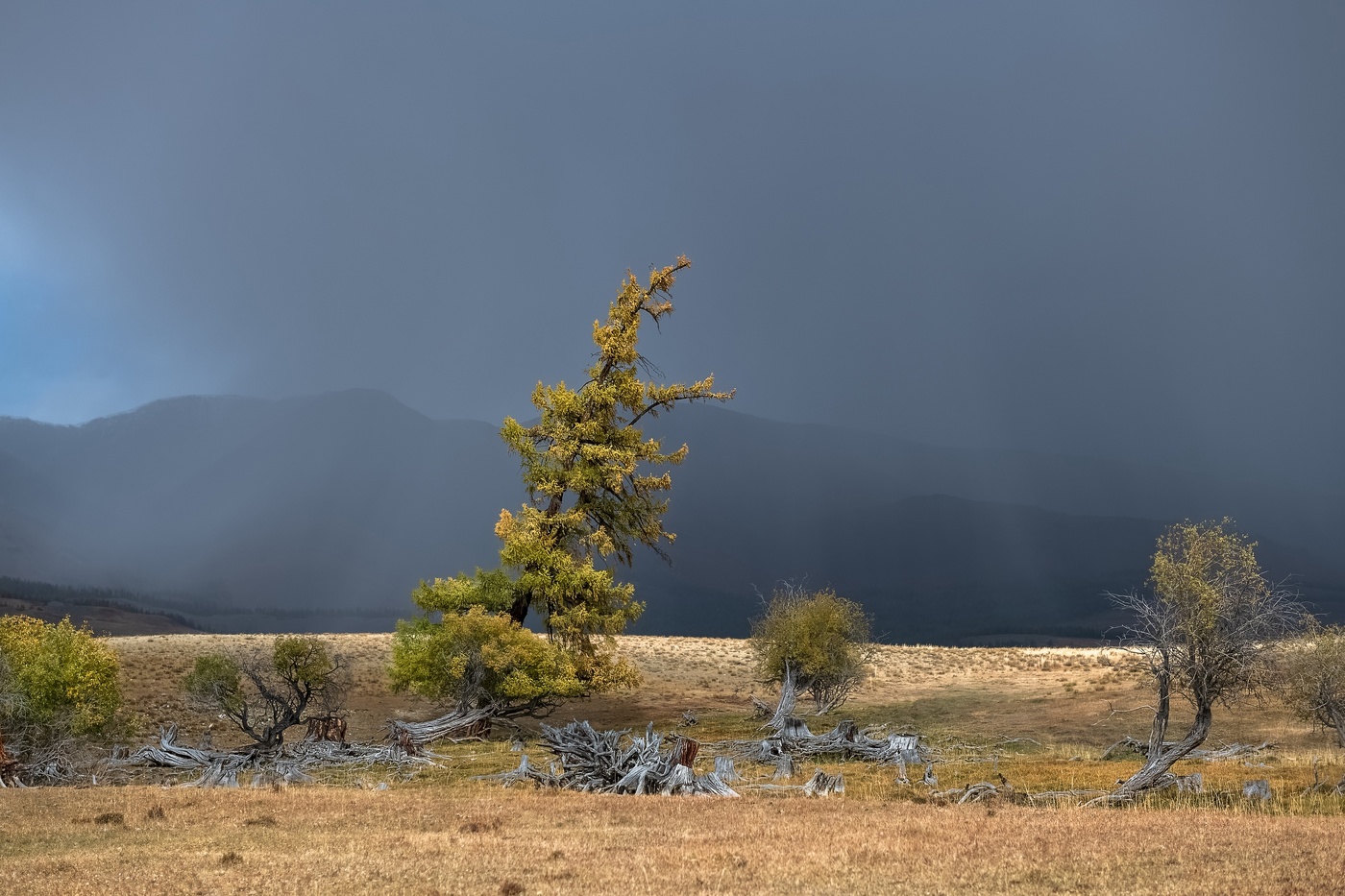 Гроза в сентябре