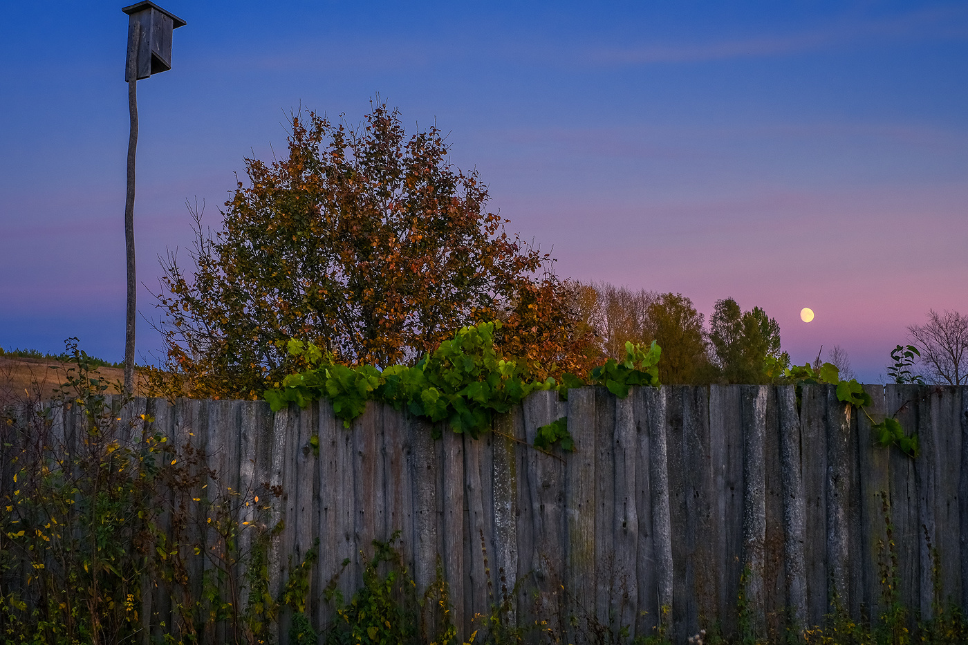 Полнолуние...