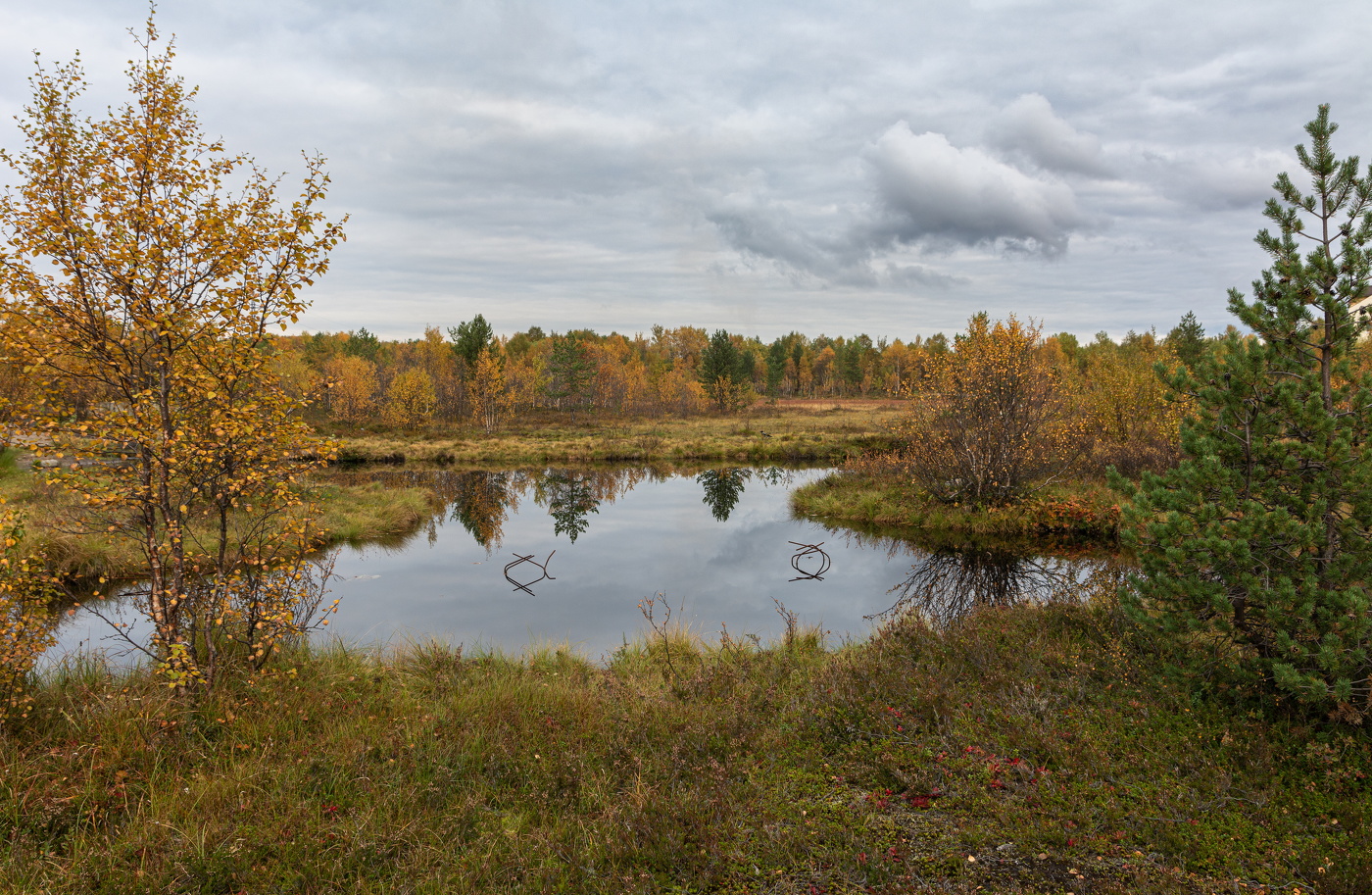 золото листвы