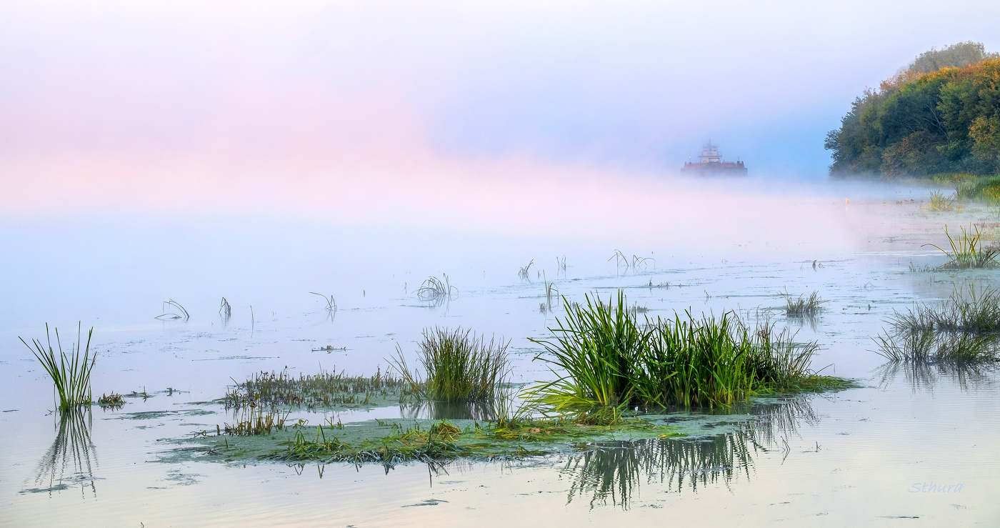 Утро туманное.