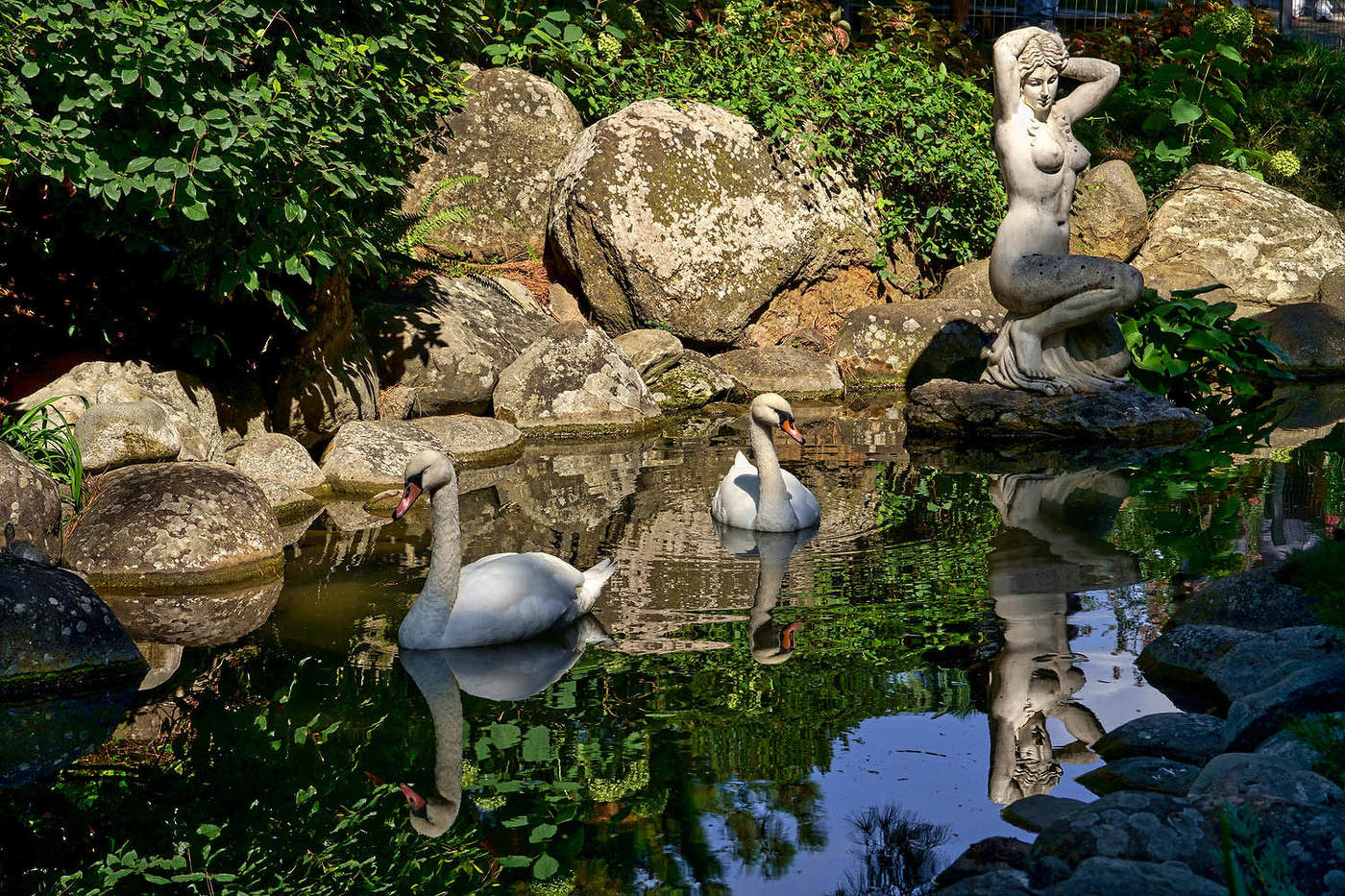 "А белый лебедь во пруду.."