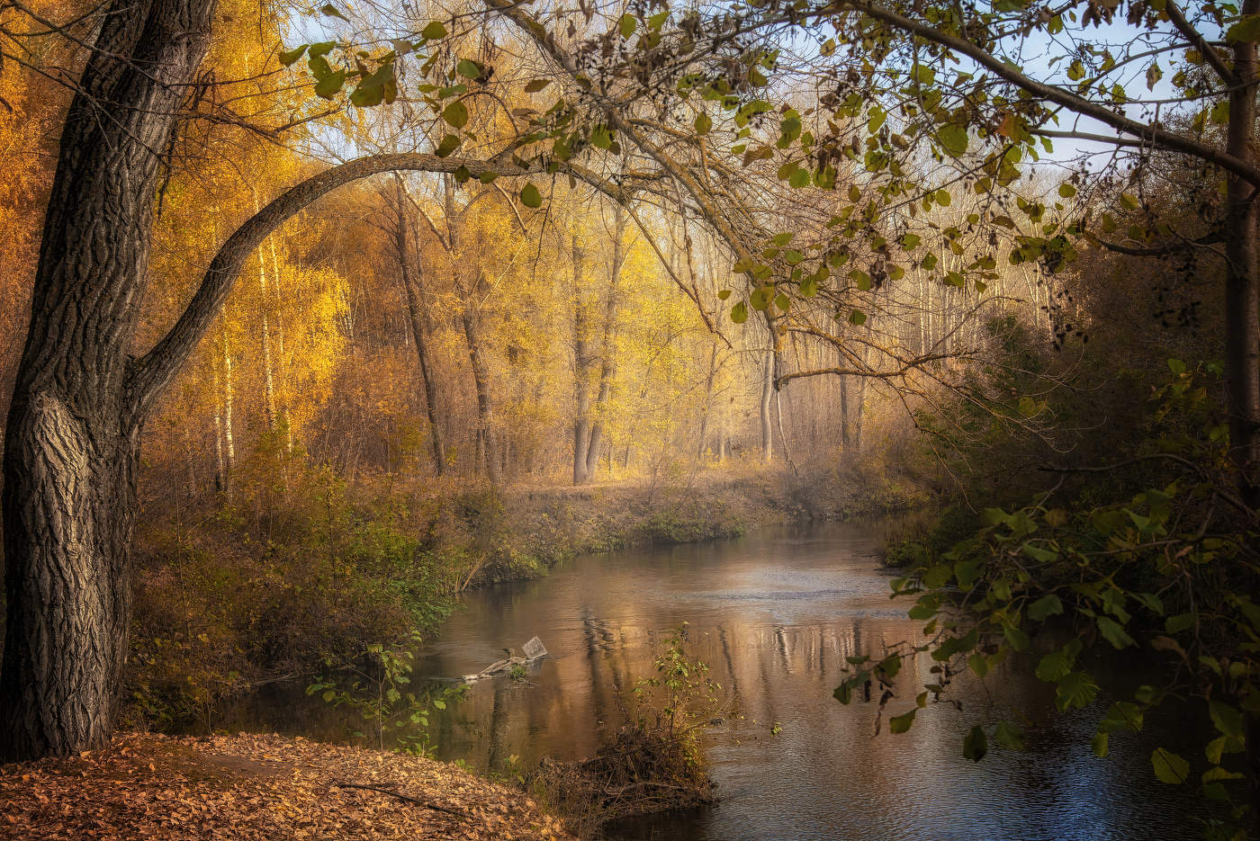 Октябрь на Усени