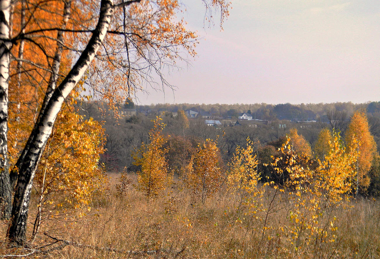 Осенним вечером на окраине деревни