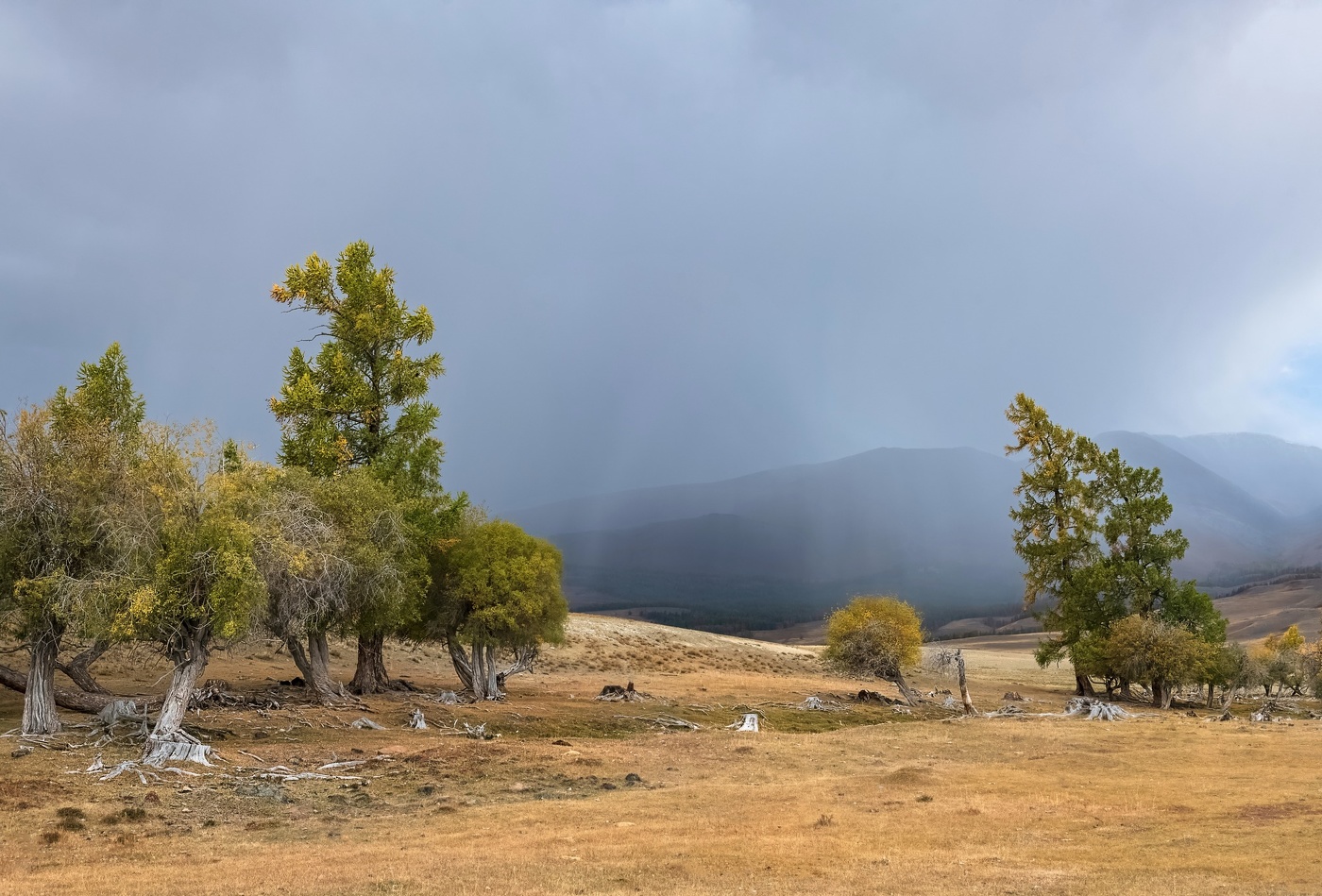 Перед грозой