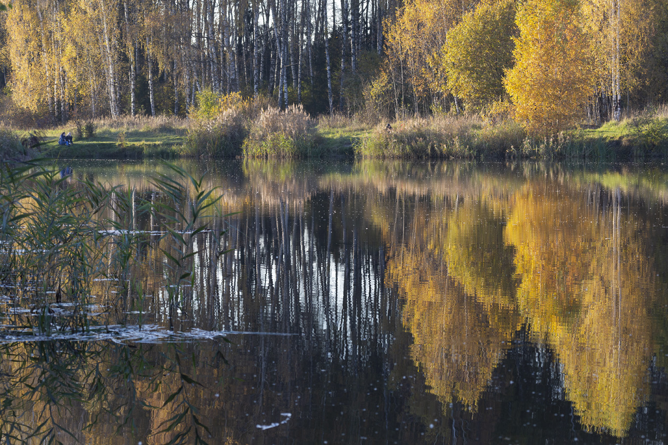 Палитра осени