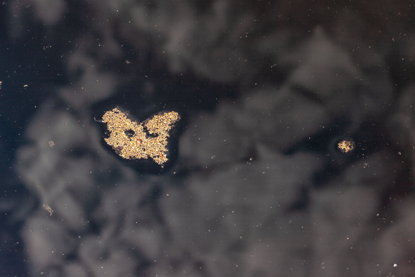 Жизнь вокруг