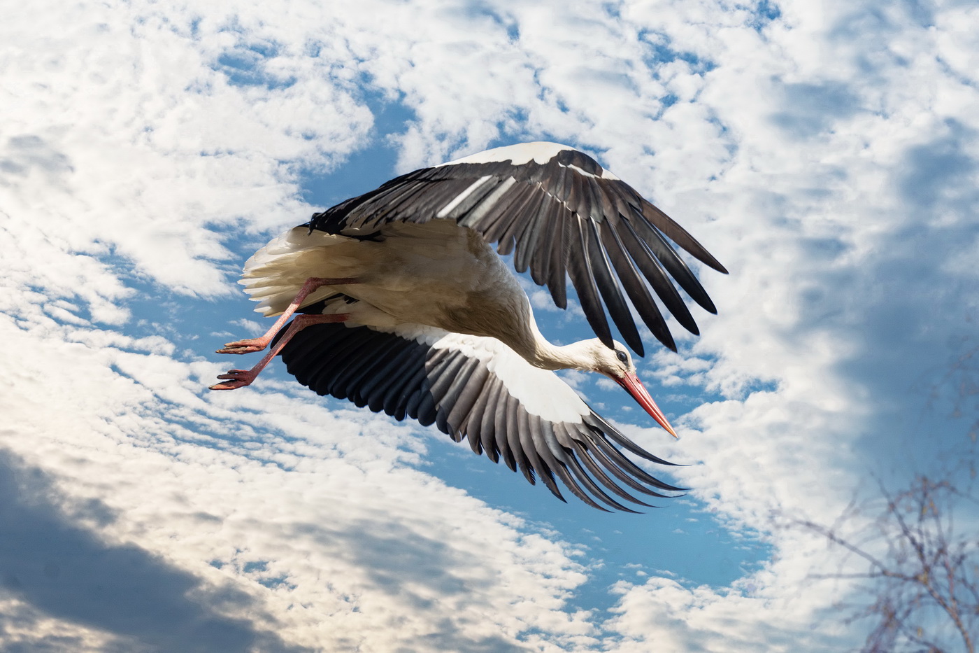 Под облаками.