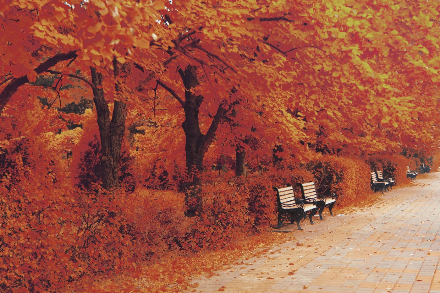 В Осеннем парке