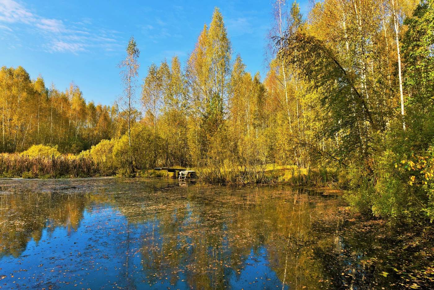 "Ласкай меня, Осень, баюкай, чаруй мои взоры и слух..."