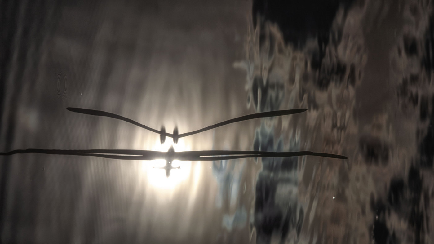 Жизнь вокруг