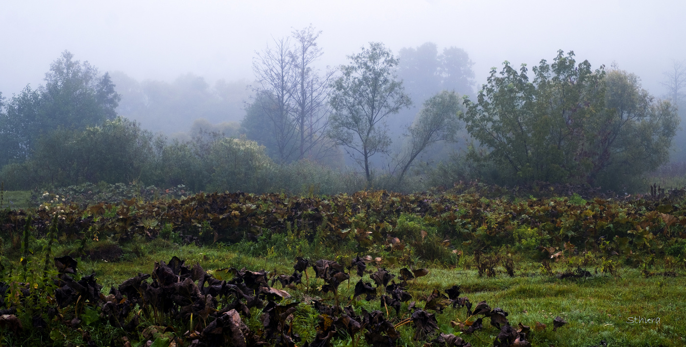 Перед осенью.