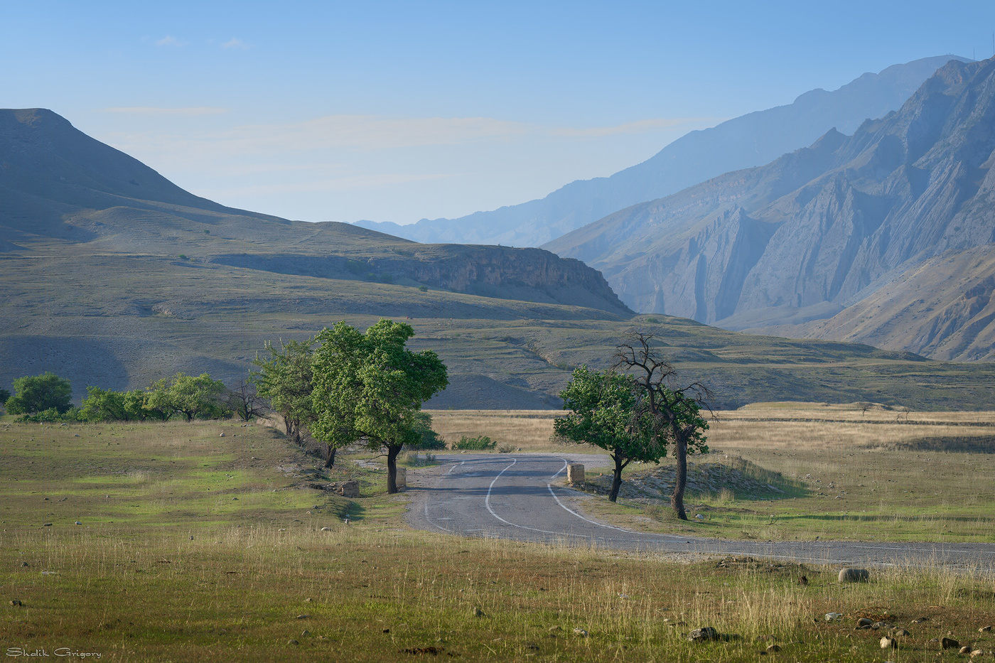 Зелёные ворота