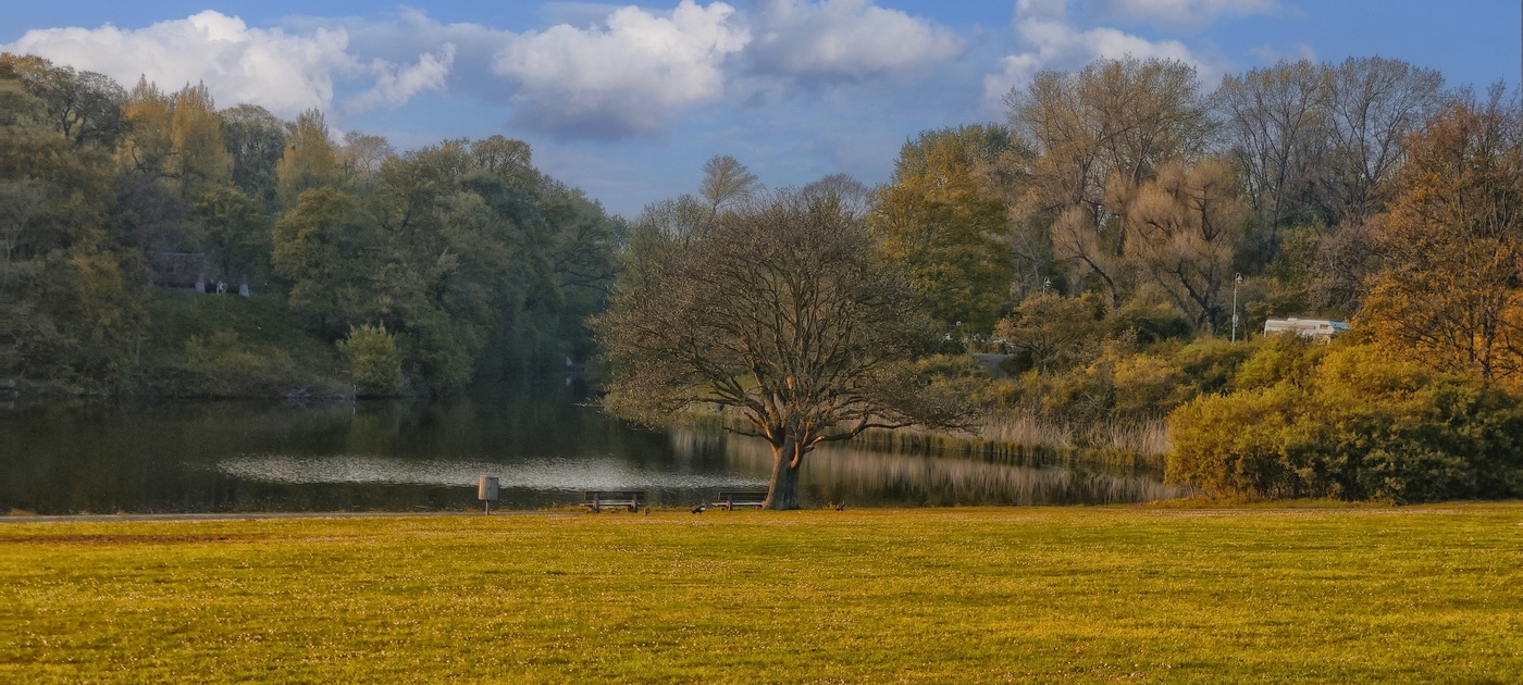 Осеняя зарисовочка