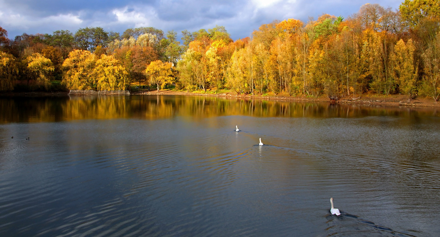 Осенняя эскадра